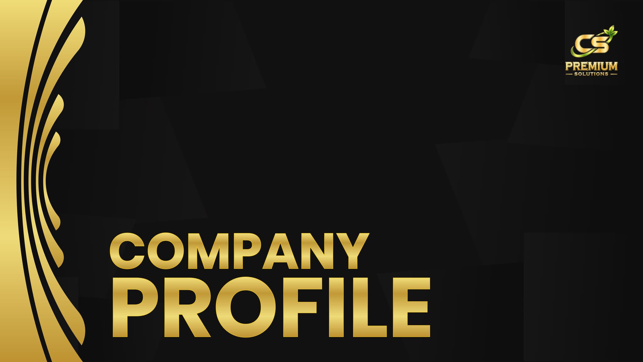 CS Company Profile 1